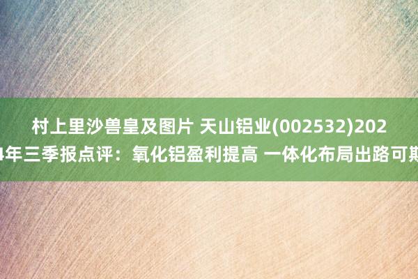 村上里沙兽皇及图片 天山铝业(002532)2024年三季报点评：氧化铝盈利提高 一体化布局出路可期