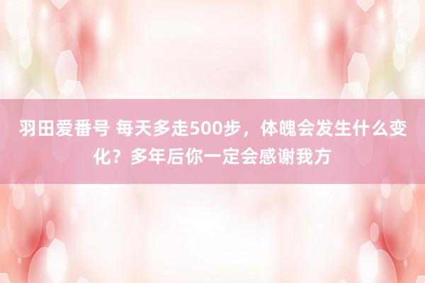 羽田爱番号 每天多走500步，体魄会发生什么变化？多年后你一定会感谢我方