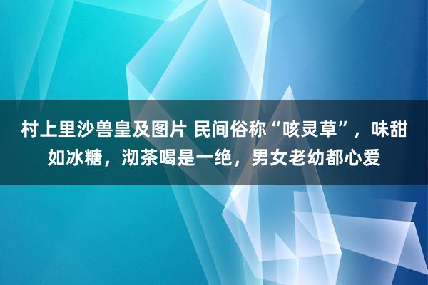 村上里沙兽皇及图片 民间俗称“咳灵草”，味甜如冰糖，沏茶喝是一绝，男女老幼都心爱