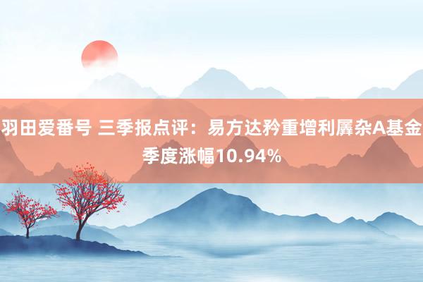 羽田爱番号 三季报点评：易方达矜重增利羼杂A基金季度涨幅10.94%