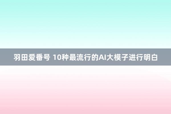 羽田爱番号 10种最流行的AI大模子进行明白