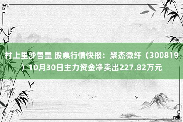 村上里沙兽皇 股票行情快报：聚杰微纤（300819）10月30日主力资金净卖出227.82万元