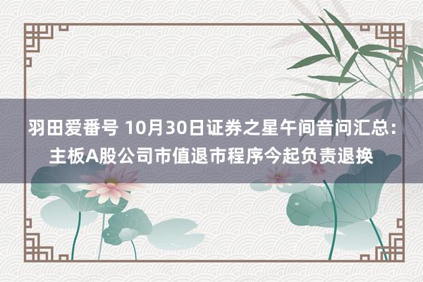 羽田爱番号 10月30日证券之星午间音问汇总：主板A股公司市值退市程序今起负责退换