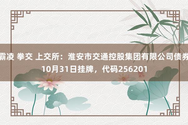 霸凌 拳交 上交所：淮安市交通控股集团有限公司债券10月31日挂牌，代码256201