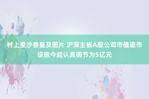 村上里沙兽皇及图片 沪深主板A股公司市值退市设施今起认真调节为5亿元