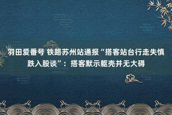 羽田爱番号 铁路苏州站通报“搭客站台行走失慎跌入股谈”：搭客默示躯壳并无大碍