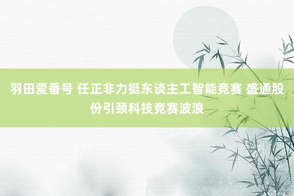 羽田爱番号 任正非力挺东谈主工智能竞赛 盛通股份引颈科技竞赛波浪