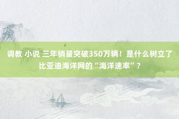 调教 小说 三年销量突破350万辆！是什么树立了比亚迪海洋网的“海洋速率”？