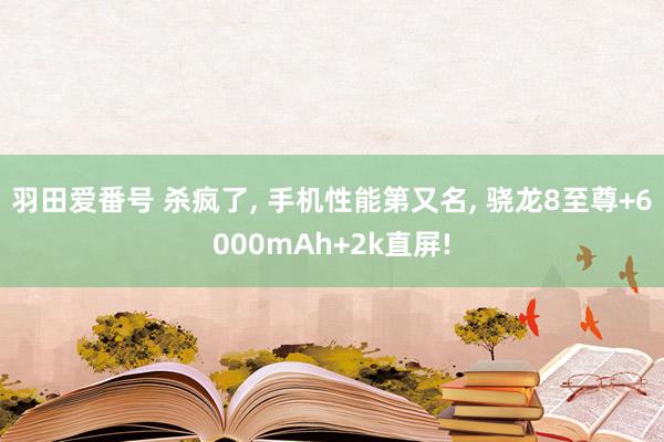 羽田爱番号 杀疯了， 手机性能第又名， 骁龙8至尊+6000mAh+2k直屏!