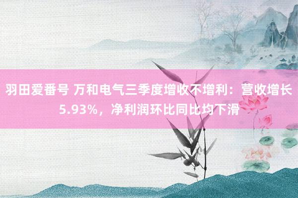 羽田爱番号 万和电气三季度增收不增利：营收增长5.93%，净利润环比同比均下滑