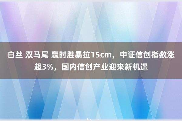 白丝 双马尾 赢时胜暴拉15cm，中证信创指数涨超3%，国内信创产业迎来新机遇