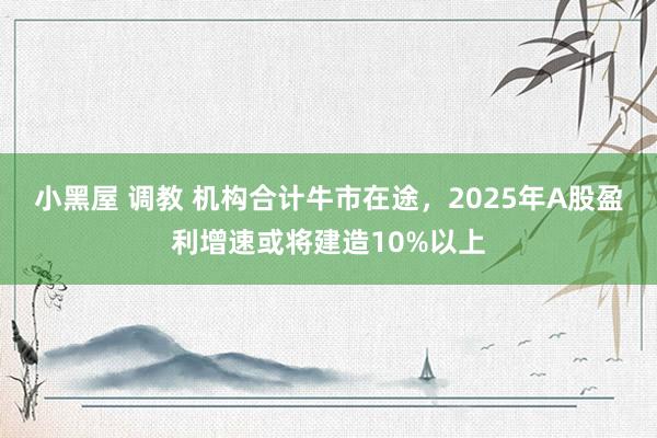 小黑屋 调教 机构合计牛市在途，2025年A股盈利增速或将建造10%以上