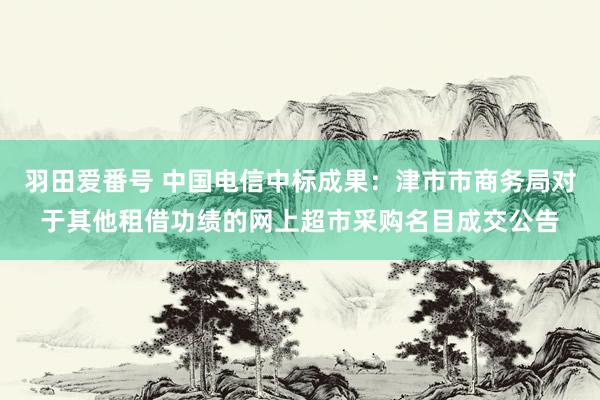 羽田爱番号 中国电信中标成果：津市市商务局对于其他租借功绩的网上超市采购名目成交公告