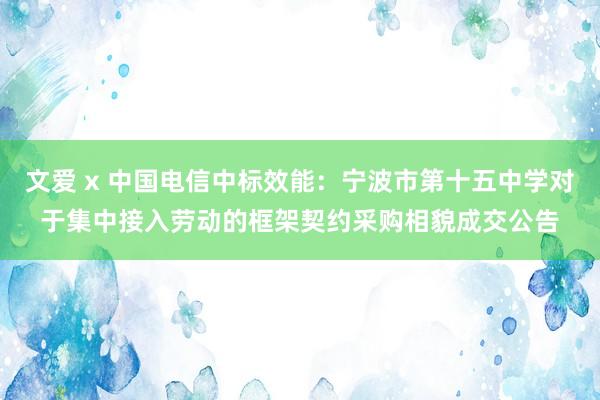 文爱 x 中国电信中标效能：宁波市第十五中学对于集中接入劳动的框架契约采购相貌成交公告