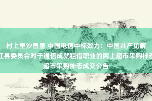 村上里沙兽皇 中国电信中标效力：中国共产见解后生团平江县委员会对于通信成就租借职业的网上超市采购神态成交公告