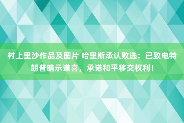 村上里沙作品及图片 哈里斯承认败选：已致电特朗普暗示道喜，承诺和平移交权利！