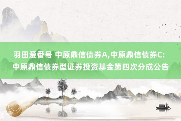 羽田爱番号 中原鼎信债券A，中原鼎信债券C: 中原鼎信债券型证券投资基金第四次分成公告