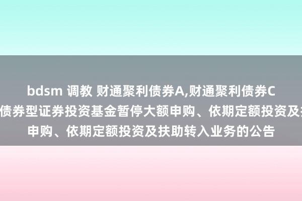 bdsm 调教 财通聚利债券A，财通聚利债券C: 对于财通聚利纯债债券型证券投资基金暂停大额申购、依期定额投资及扶助转入业务的公告