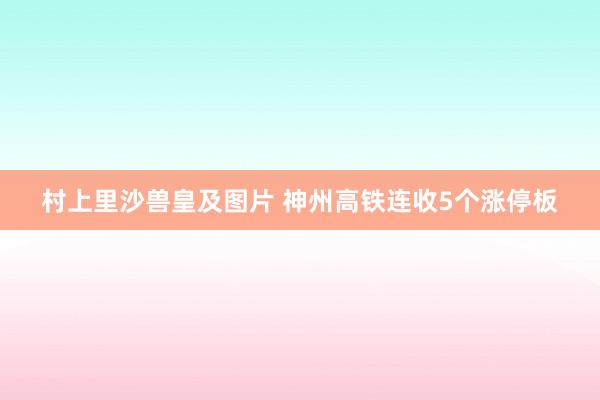 村上里沙兽皇及图片 神州高铁连收5个涨停板