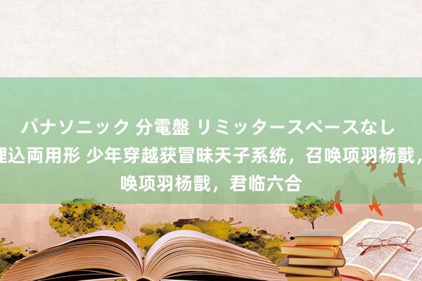 パナソニック 分電盤 リミッタースペースなし 露出・半埋込両用形 少年穿越获冒昧天子系统，召唤项羽杨戬，君临六合