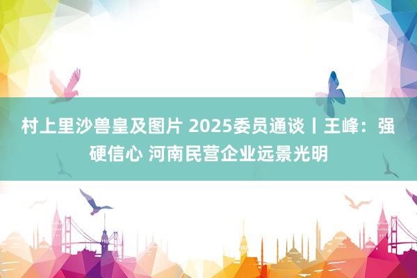 村上里沙兽皇及图片 2025委员通谈丨王峰：强硬信心 河南民营企业远景光明